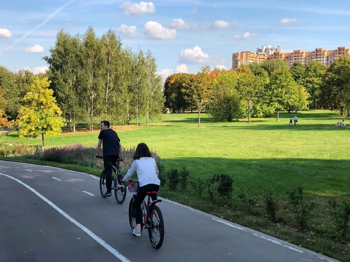 Парк 50-летия октября Москва. Парк 50-летия октября Москва проспект Вернадского. Парк 50-летия октября Удальцова. Проспект Вернадского парк 50 лет октября. Парк 50 летия октября фото