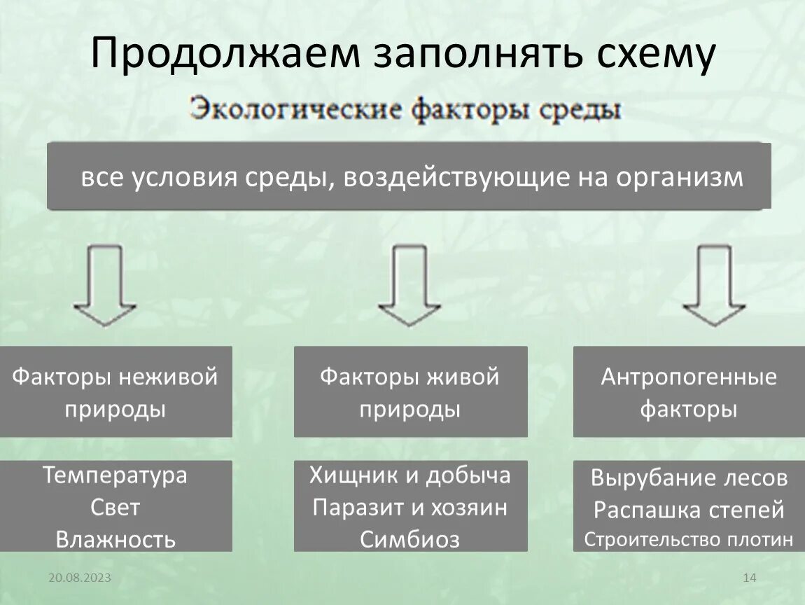 Экологические факторы среды. Схема экологические факторы. Факторы среды примеры. Экологические факторы по биологии.