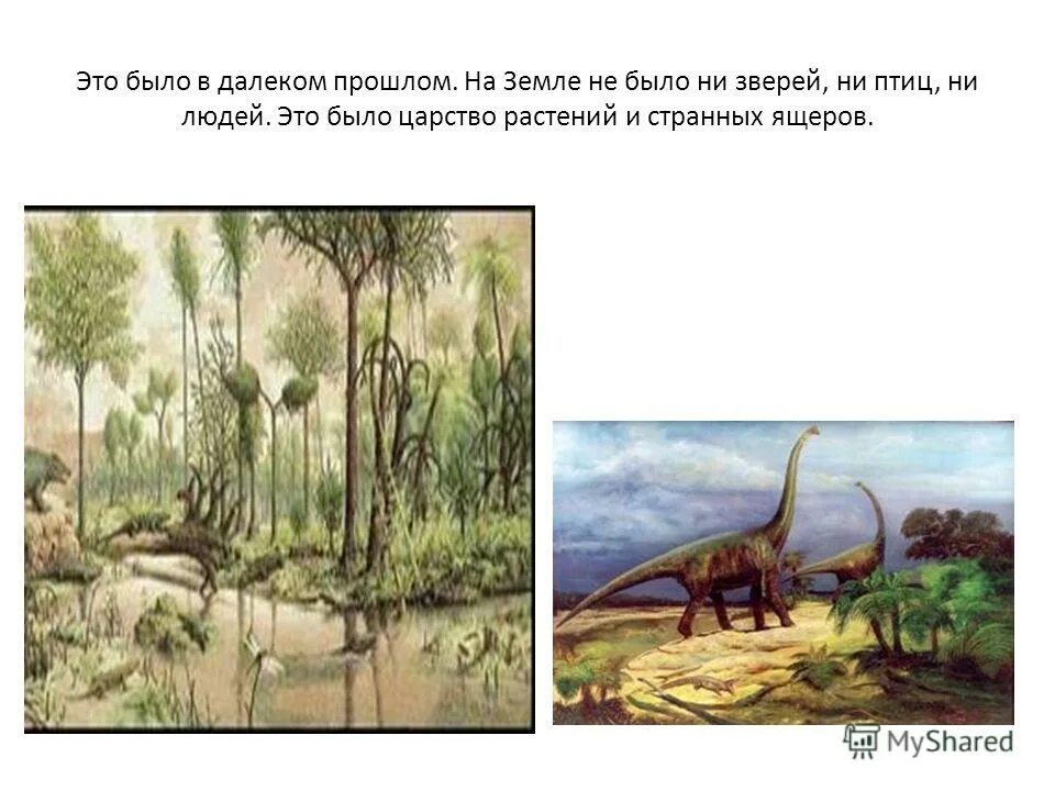 Когда жили динозавры 1 класс рабочий лист. Растения во времена динозавров картинки и их названия. Виды растений когда жили динозавры. Растения которые жило когда были динозавры. Растения времен динозавров схема.
