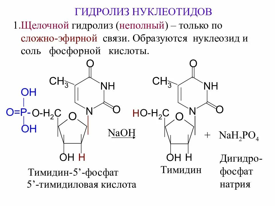 Щелочный гидролиз. Щелочной гидролиз уридиловой кислоты. Схема гидролитического расщепления 5 уридиловой кислоты. Тимидин 5 фосфат щелочной гидролиз. Уридин 5 фосфат гидролиз.