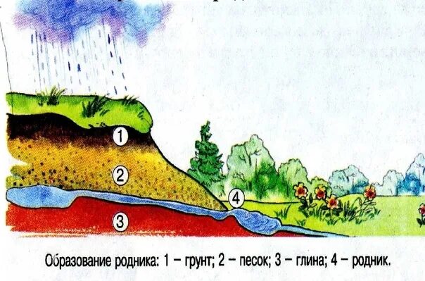 Откуда вода в родниках. Образование родника. Схема образования родника. Родник схема. Строение родника.