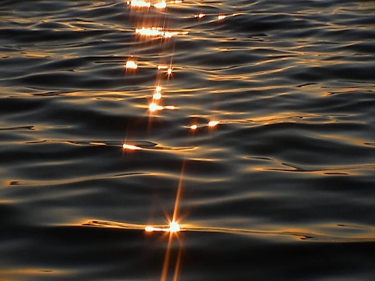 Солнечные блики. Блик солнца. Блики на воде. Солнечные блики на воде. Вода есть блеск