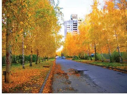 Ульяновск осенью