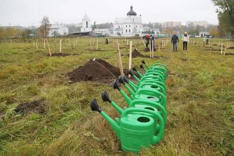 Беларусь посадка