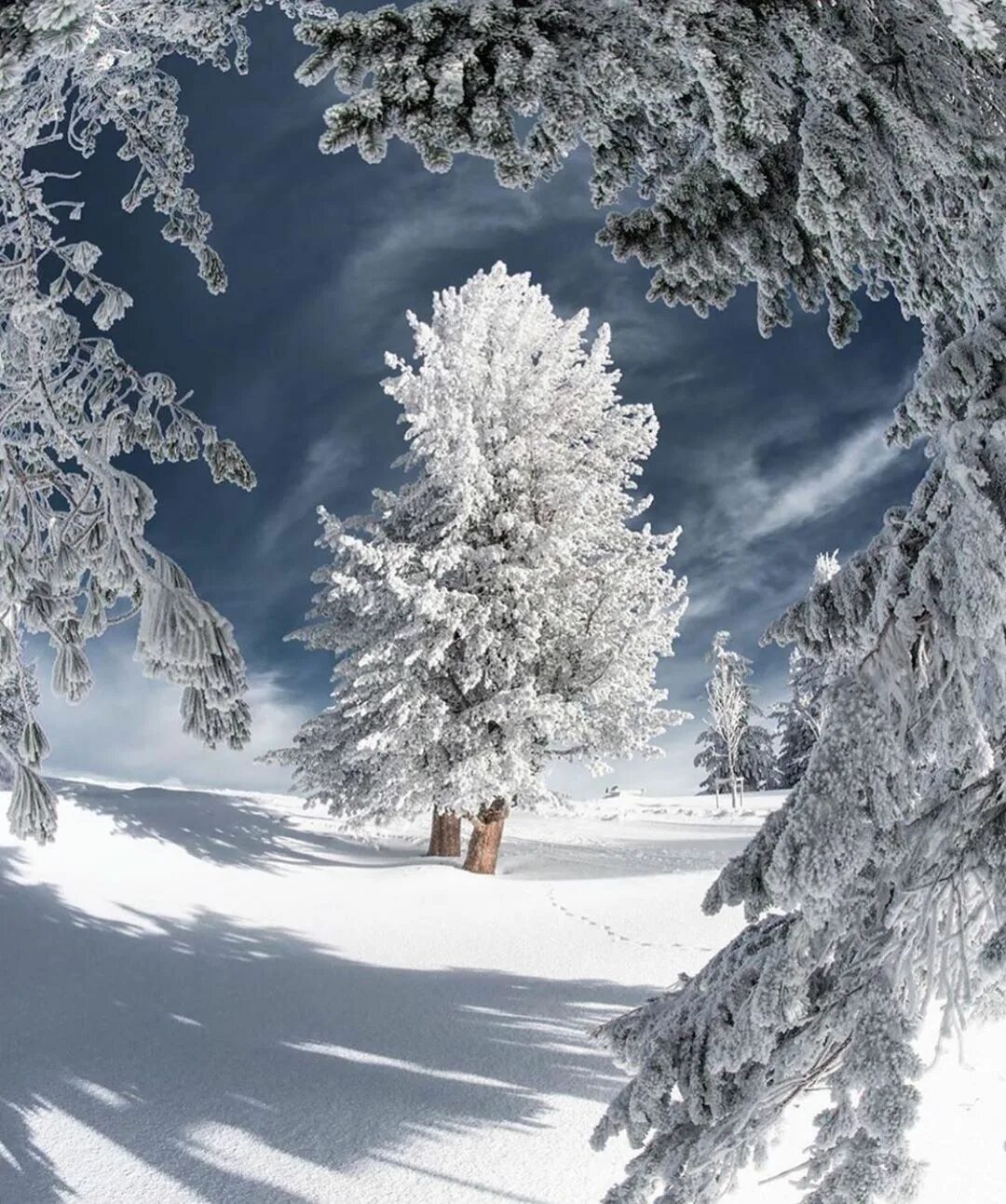 Природа зима. Красота зимы. Красивая зима. Снежный пейзаж. Is winter beautiful