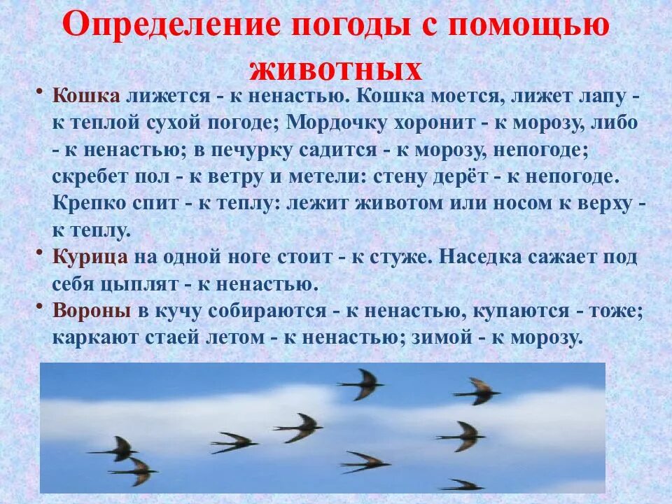 Народные приметы помощью которых можно предсказывать погоду. Приметы на погоду. Народных примет о погоде. Народные приметы предсказывающие погоду. Презентация на тему народные приметы.