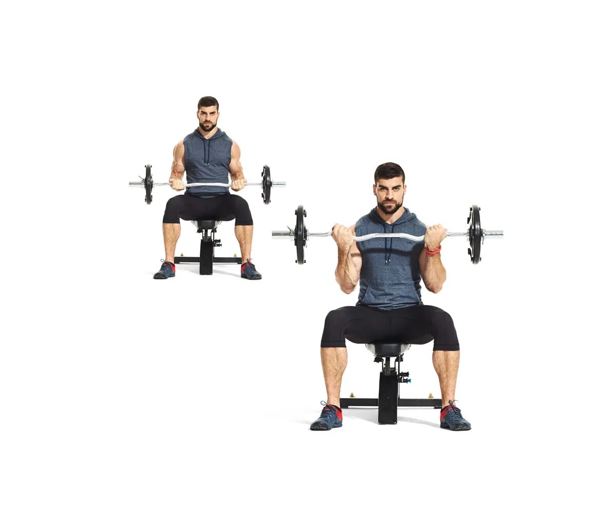 Curl response. Barbell Curl. Burble Curl. Barbell Curls Seated. Seated Barbell Curls advantage.