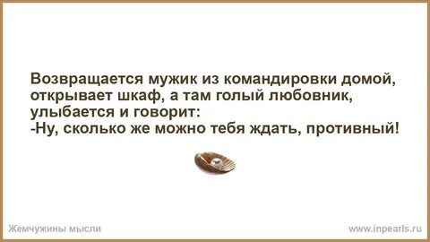 Бывшие мужья возвращаются через