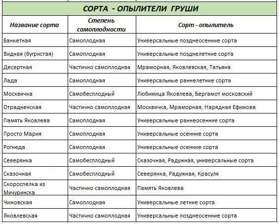 Совместимость груш. Сорта опылители яблонь таблица. сорта опылители черешни таблица. груши опылители по сортам таблица. жимолость опылители таблица сорта.