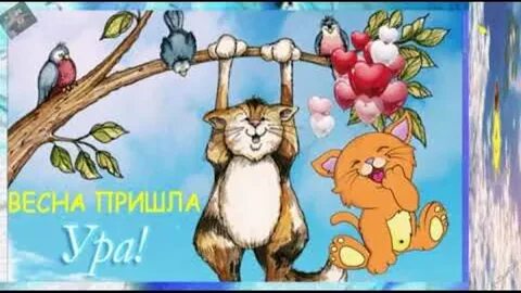 Приколы видео март 2024