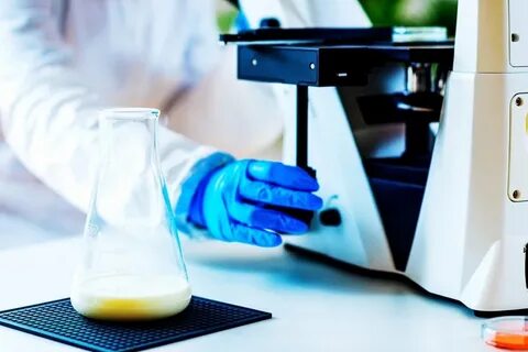 Анализ продуктов лаборатория