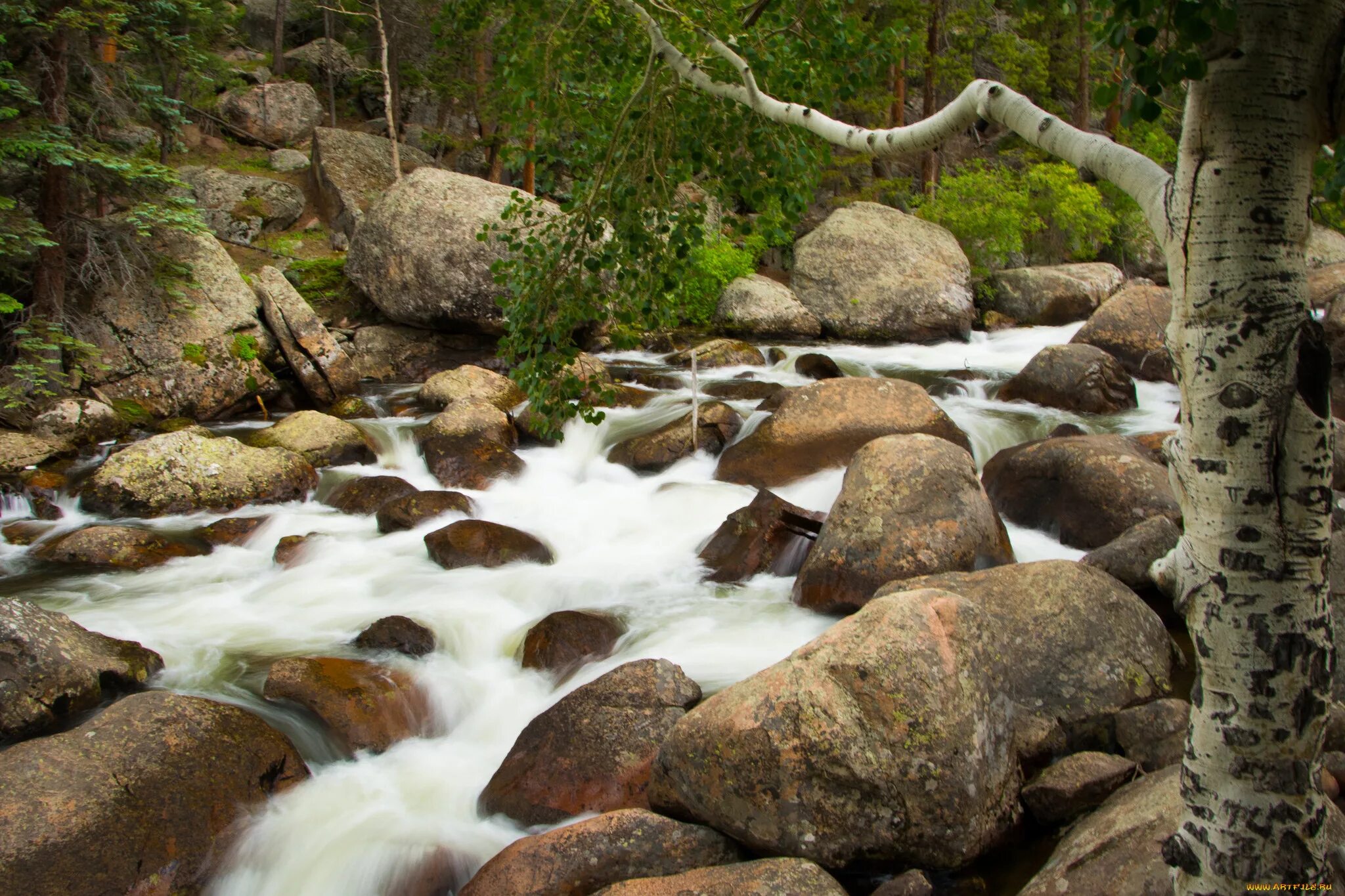 Stone river. Ручей среди камней. Речка с большими камнями. Камни в реке. Каменный берег реки.