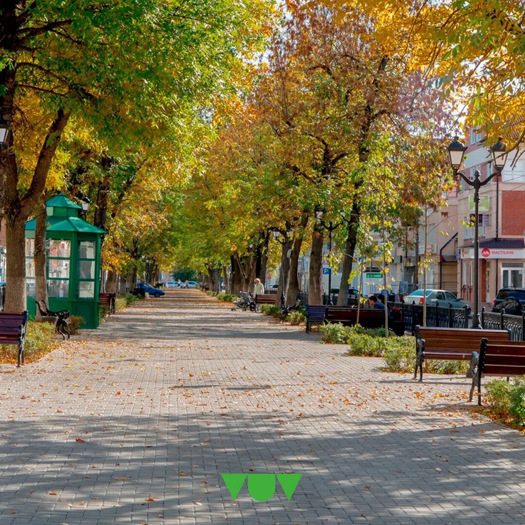 Бульвар радищева тверь зима. Тверь благоустройство трехсвятской. Бульвар в твери. Бульвар в твери. Город тверь бульвар радищева 40.