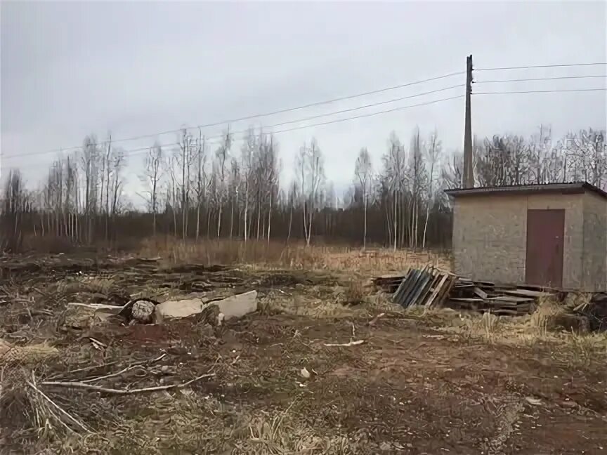 Участки боровичи. Участки боровичи. Астрахань казанская 102. Дома на продажу в боровичах. Боровичи егла.