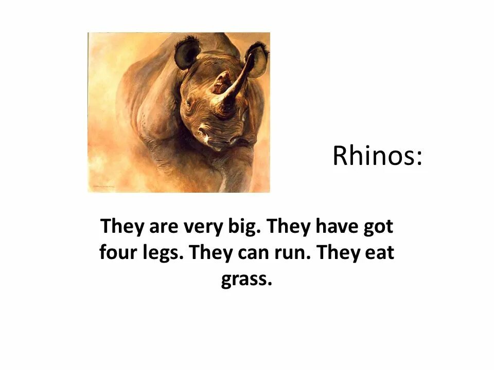 They can Run. Four Legs перевод. Загадки о Rhino английском. Как переводится can Psrrots Run ? No,they can 't Run but they can Fly in the Sky.