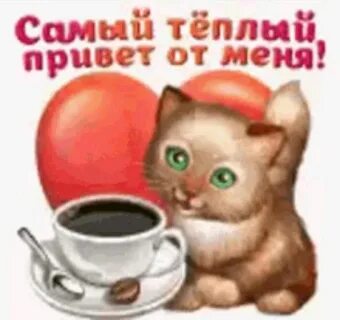 Теплый привет