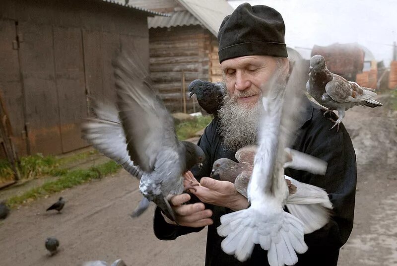 Православные добрые дела. Православный монах. Православные птицы. Церковь и голуби.