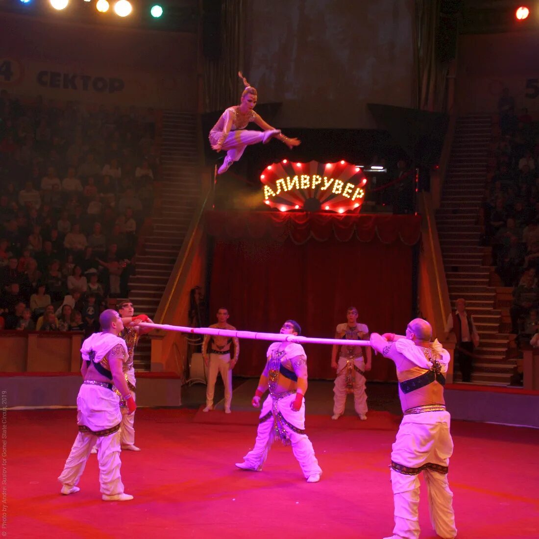 Людмила шевченко цирк. Команды в цирке на каком языке. Профессия дрессировщик, чем это полезно обществу. Цирк в сша. Команды в цирке на каком языке.