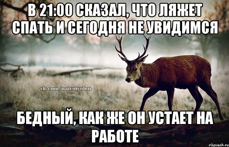 Надеюсь свидимся. Не увидимся. Увидеться с тобой. Увидимся сегодня. Когда мы увидимся картинки.