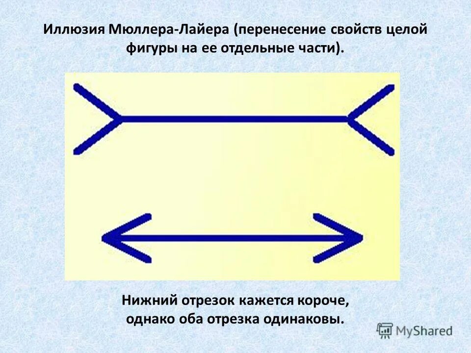 Видим его одинаково. Иллюзия Франца Мюллера-Лайера. Оптическая иллюзия Мюллера-Лайера. Иллюзия Миллера лайнера. Иллюзии восприятия стрелки.