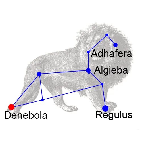 Созвездие льва схема. Созвездие Лев схема. Лев схема созвездия схема. Созвездие Лев схема по точкам. Регул в созвездии Льва схема.