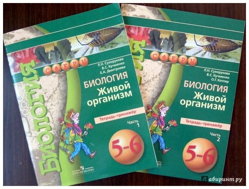 Живы 5 тетради. Тетрадь тренажер Сухорукова биология. Биология 5-6 кл Сухорукова. Тренажер по биологии 5 класс. Биология 5 класс Сухорукова.