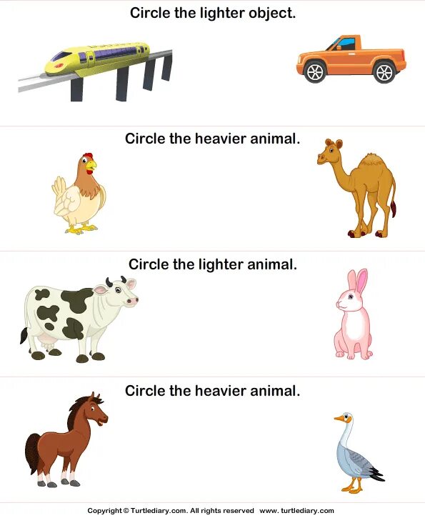 Heaviest animal. Heavy Light Worksheets. Heavy Light Worksheet for Kids. Heavier lighter. Heavy Light картинки для детей.