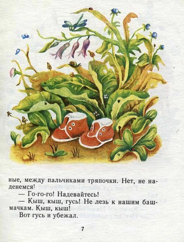 Пастернак башмачки. Иллюстрации к сказке павловой чьи башмачки. сердце башмачок.