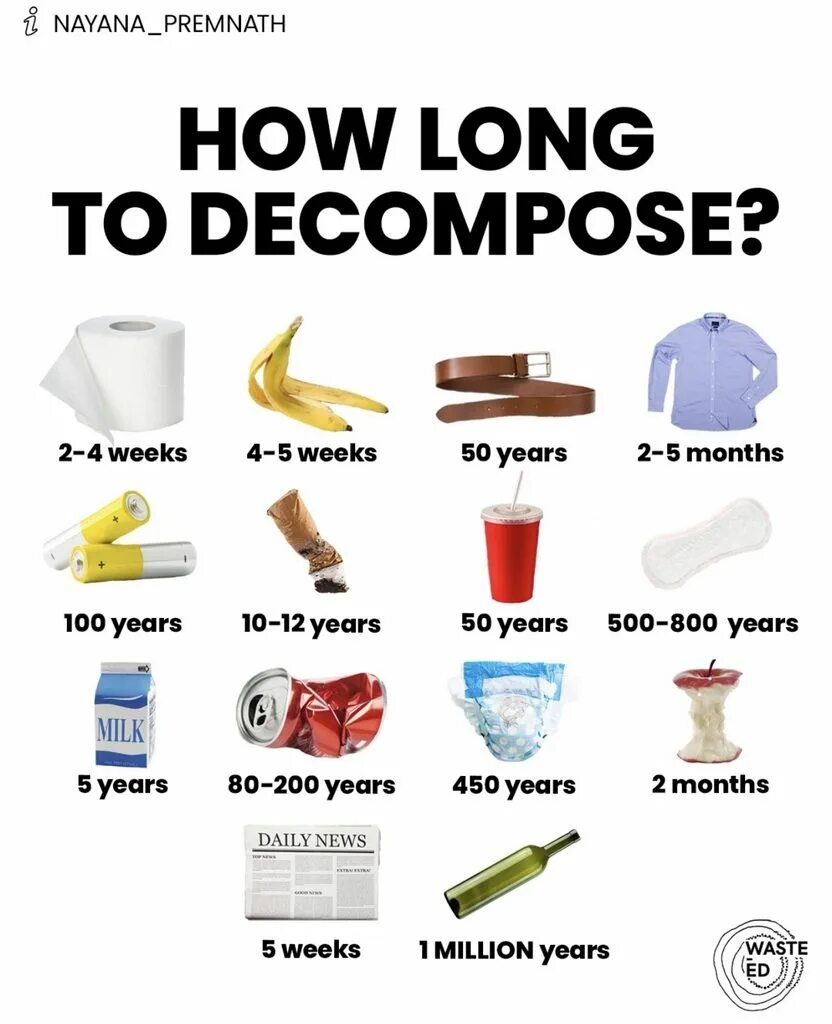 How much time how long. How long does it take to decompose. how long does it take for garbage to decompose. decompose garbage. decompose перевод.