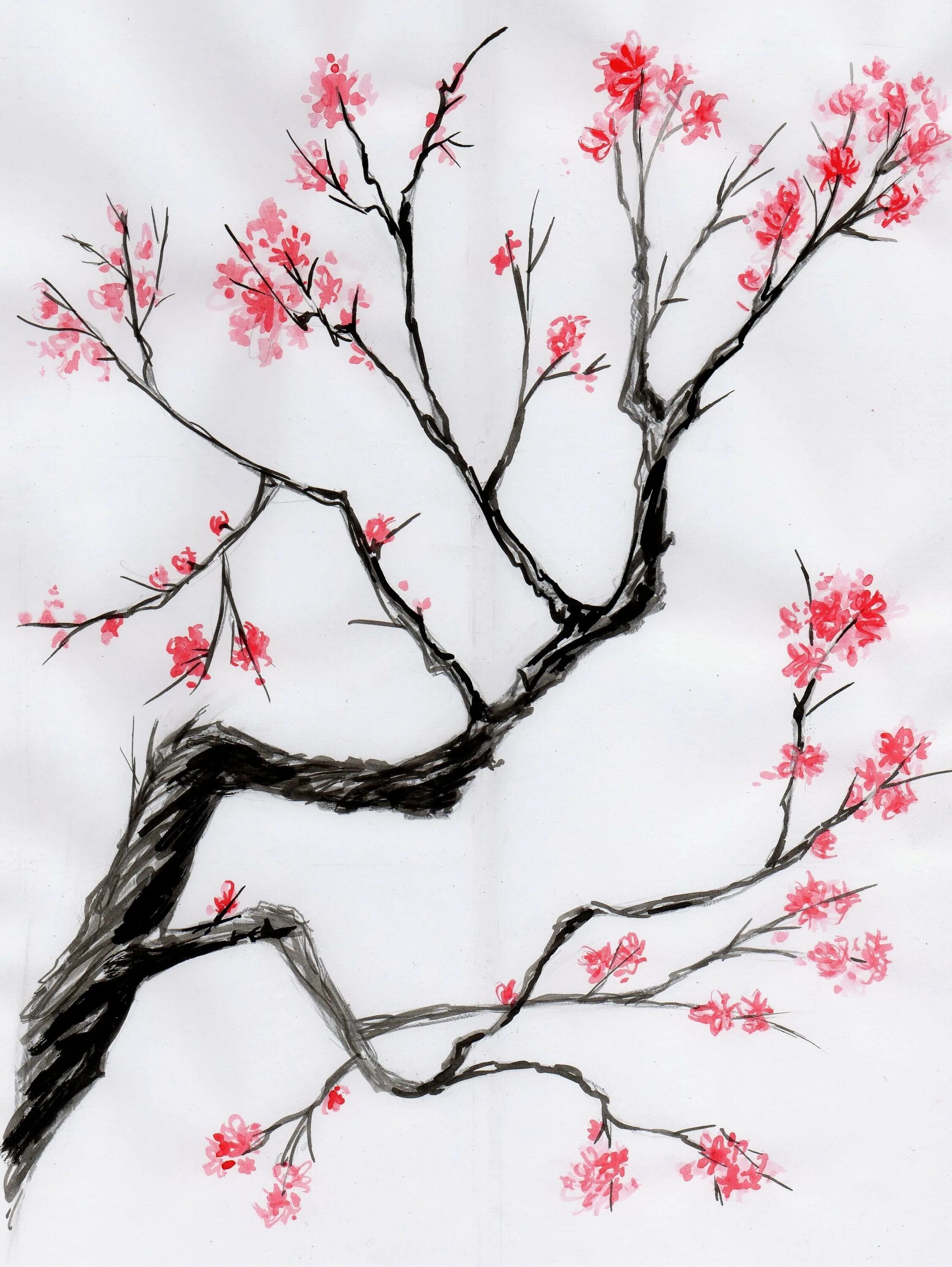 Рисование сакуры. Сакура референс дерево. Гохуа китайская живопись Сакура. Сакура дерево скетч. Сакура рисовка.