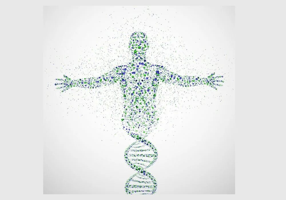 Человек часть биология. Ген без фона. Генетика без фона. Изображение ДНК. Геном человека на прозрачном фоне.
