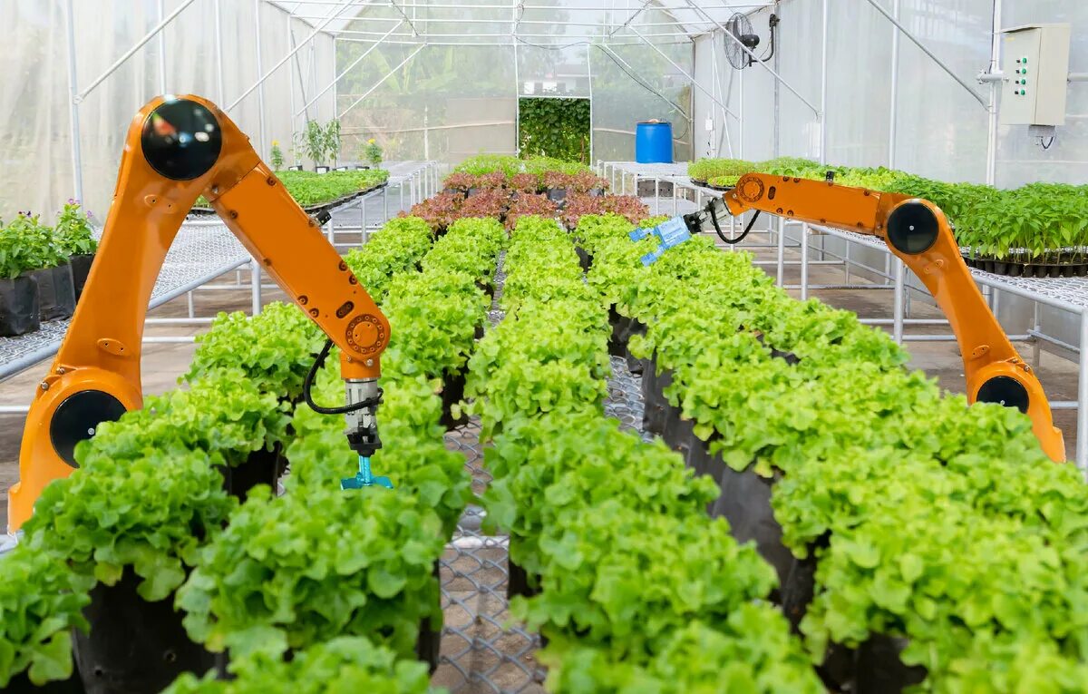 Интернет вещей в сельском хозяйстве. Common agricultural policy legislation. Цифровые технологии в агрономии. Умная теплица greenhouse. Стартап в сельском хозяйстве.
