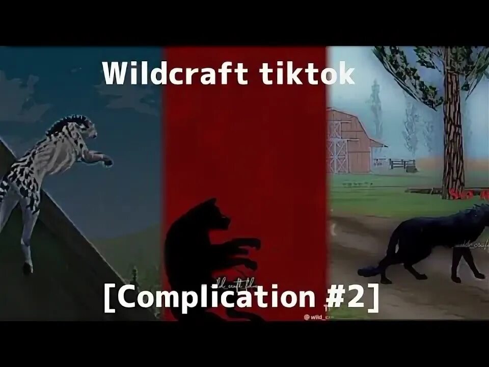 Вилд крафт тик. Вайлд крафт тт. Вилд крафт тик. Wildcraft тик ток. Вилд крафт тт.