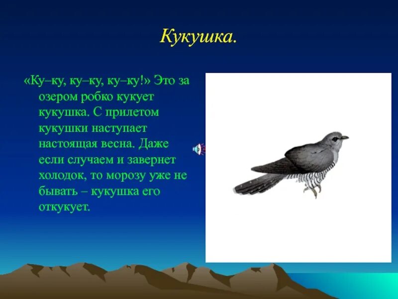 Кукушка кукует приметы. Кукушка прилетела. Кукушка ку ку. Народные приметы про кукушку. Кукушка куковать составить предложение