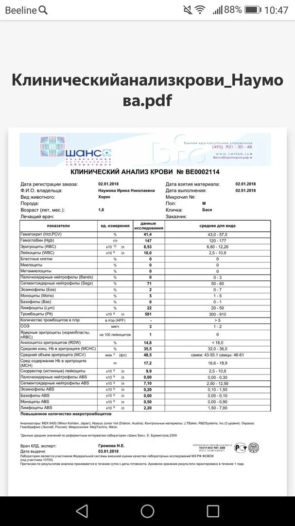 Анализ мснс повышен. МСН В анализе крови. Анализ МСНС В анализе крови. МСНС анализ крови расшифровка. Анализы МСНС норма.