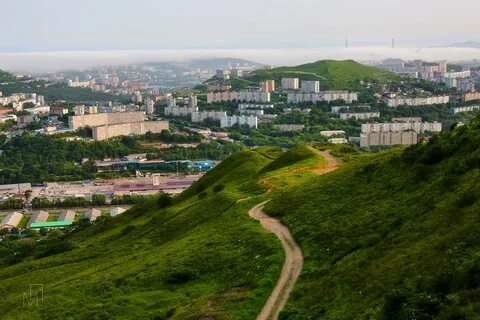 Холодильник владивосток