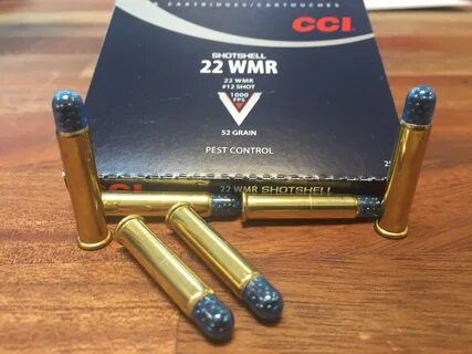 22 wmr
