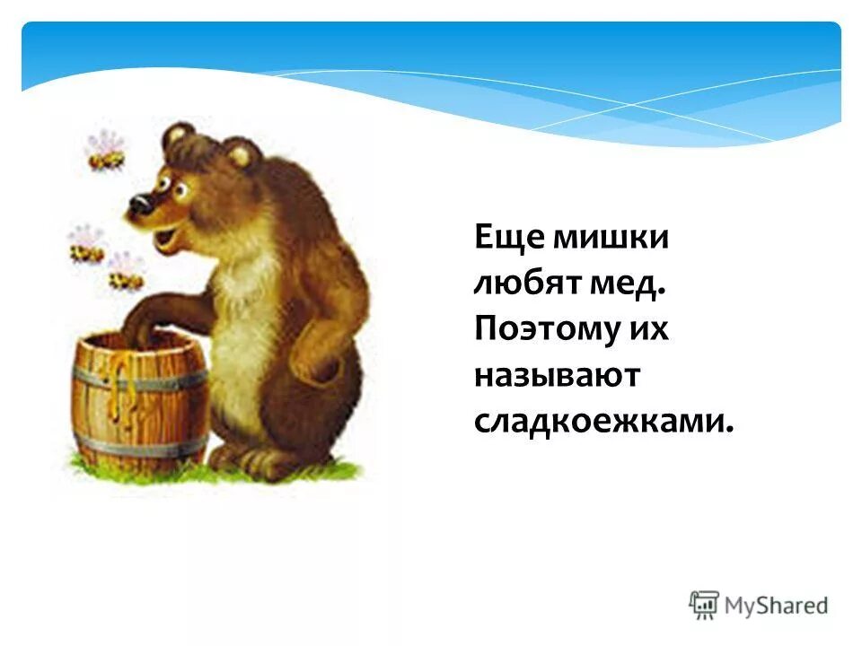 Почему медведь любит. Медведь любит мед. Мишка очень любит мед. Медвежонок любит мед. Мишка любит мед стихи.