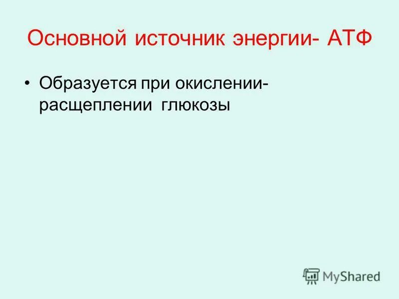 Атф образуется при расщеплении. Адф образуется из атф в результате реакции. Атф образуется при расщеплении. Атф образуется при расщеплении. Атф вырабатывается в ходе.