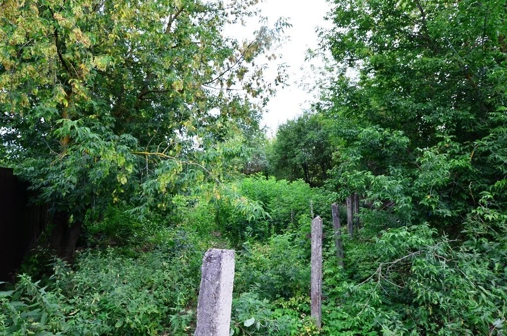 Отзывы икша. Посёлок городского типа Икша. Икша ул. 1-я Нагорная. Икша Садовая 10. СНТ Репечиха п.Икша.