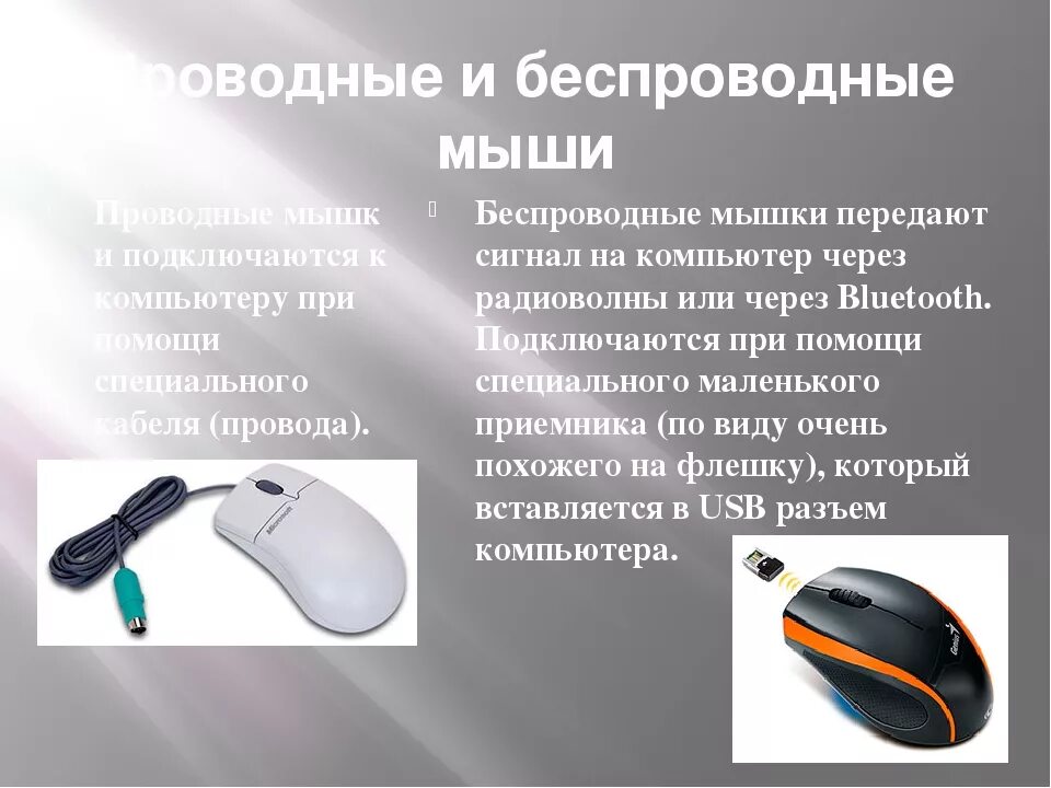 Можно ли сдать мышку
