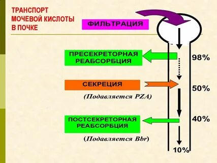 Почечная кислота