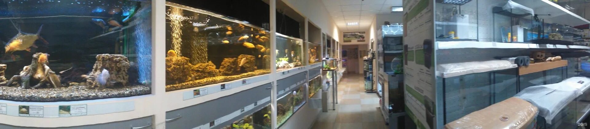 зоомагазин рыбки пенза. магазин рыбок. зоомагазины в краснодаре рыбки. современный аквариум краснодар. аквариумный мир магазин.