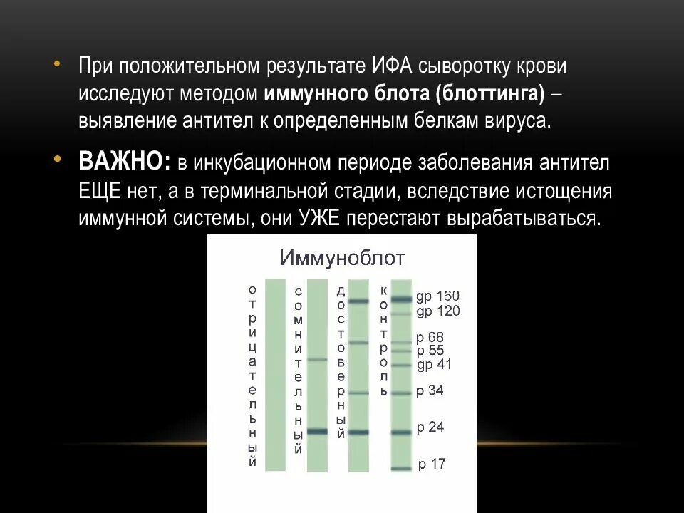 Иммунный блоттинг. Иммуноблот ВИЧ результат. Результат иммунного блотинга положительный. Метод иммунного блоттинга. Что определяют методом иммунного блотинга:.