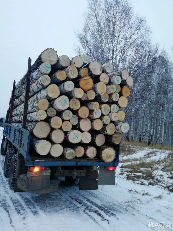 Лесовоз с березой. Лесовоз дров. Дрова береза долготьем. Береза кругляк в лесовозе.