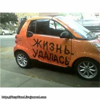 Лесная 23 жизнь удалась