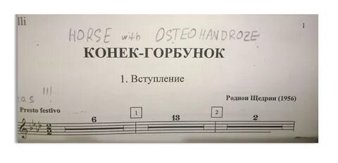 Не мой конек
