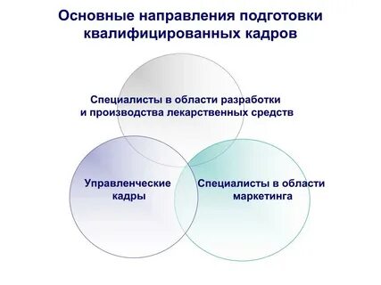 Основные направления тренинга
