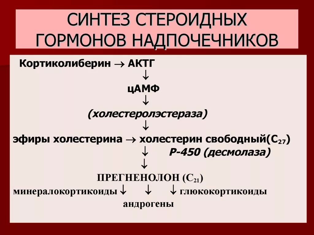 Синтез гормонов надпочечников биохимия. Синтез стероидных гормонов. Стероидные гормоны биохимия. Синтез гормонов коры надпочечников.