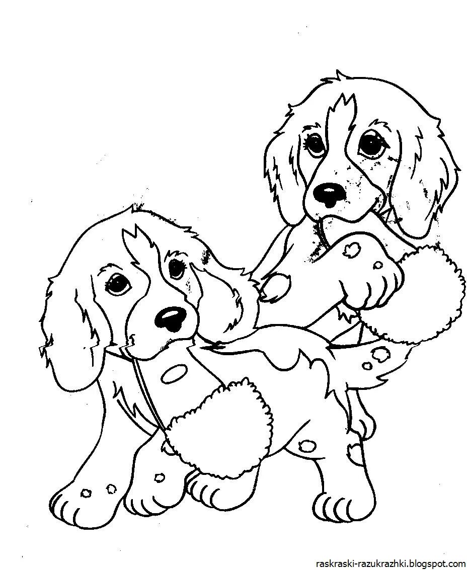 Раскраска собачка. Щенок раскраска для детей. Собачка раскраска для детей. Раскрасить собачку. Раскраски шарлотта земляничка питомцы.